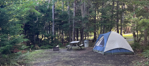 Spacious tenting campsite.