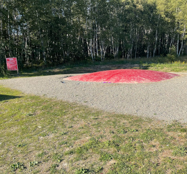 Bouncy Pillow