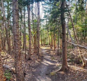 Hike